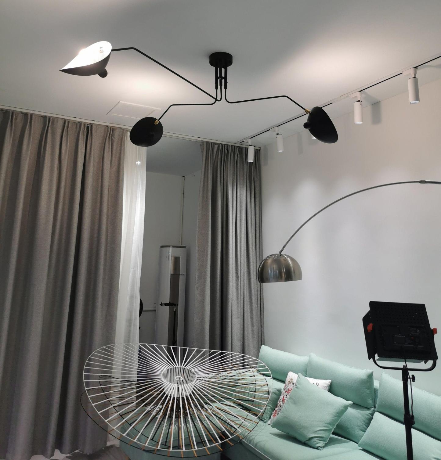Serge Mouille Ceiling Light A