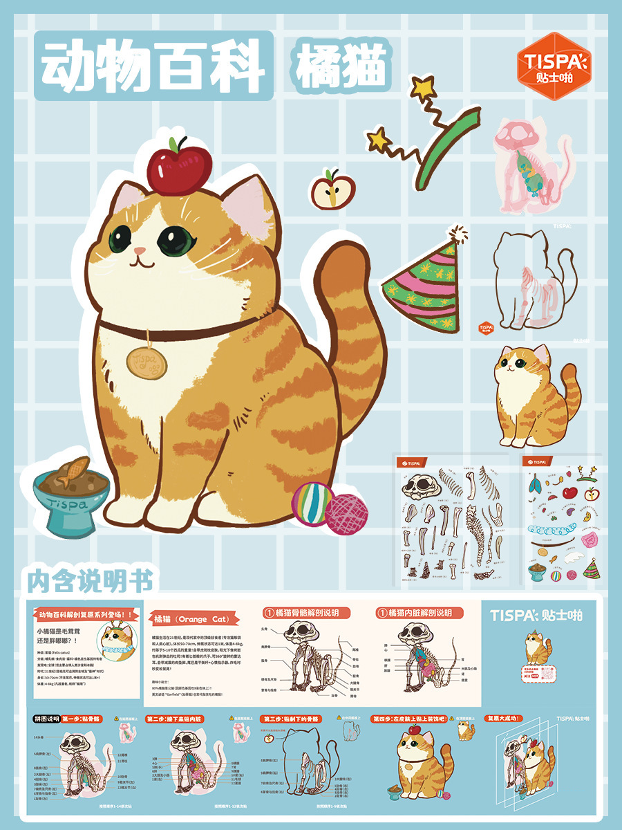 Animal Dissection Series: DIY 3D Sticker Collection - 4Cute Miniature 