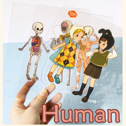 Animal Dissection Series: DIY 3D Sticker Collection - 8 Cute Miniature Scenes