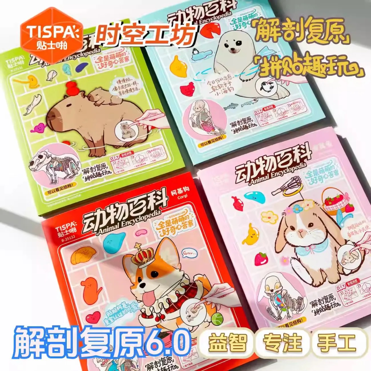 Animal Dissection Series: DIY 3D Sticker Collection - 4 Cute Miniature Scenes
