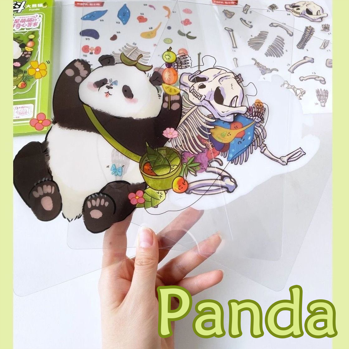 Animal Dissection Series: DIY 3D Sticker Collection - 8 Cute Miniature Scenes