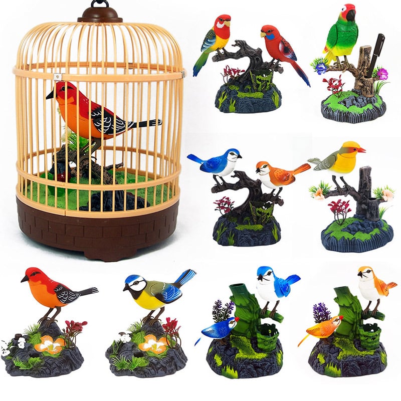 🐦Talking Parrots Birds