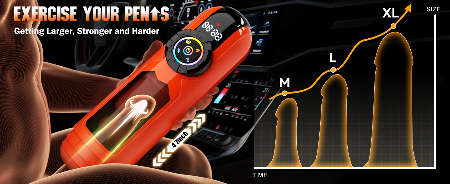 Penile trainer