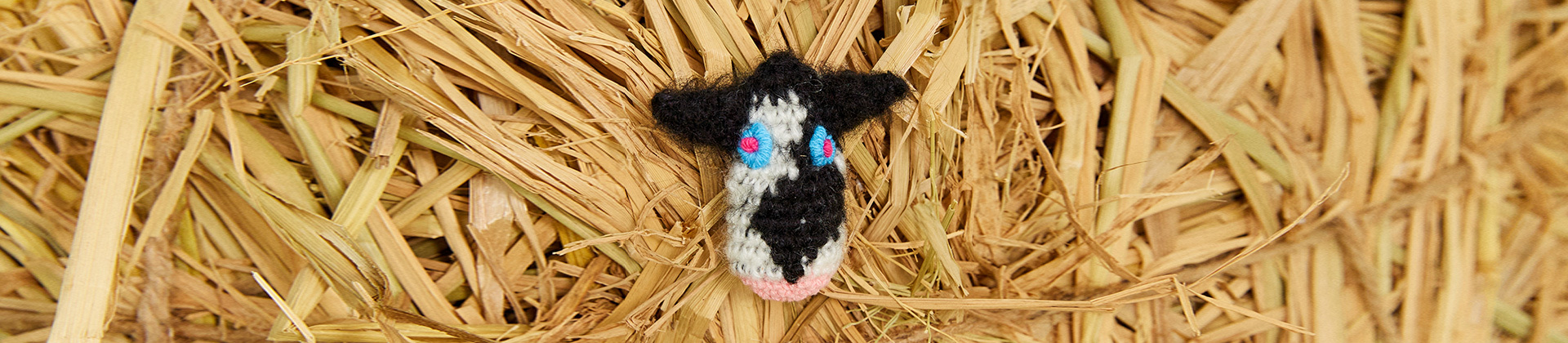 Lovely milk-cow
