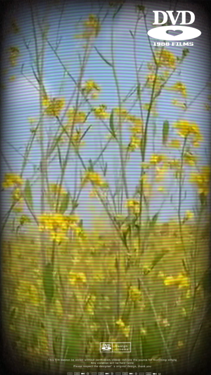 Rapeseed flower earrings