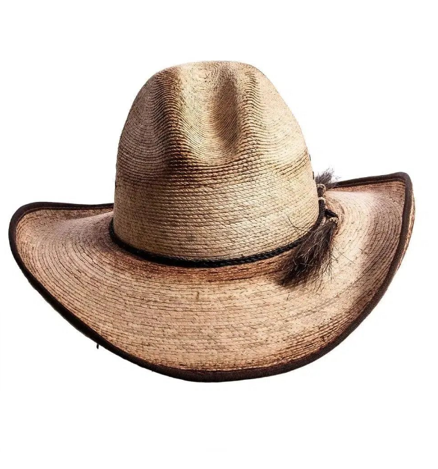 Diego | Mens Straw Cowboy Hat