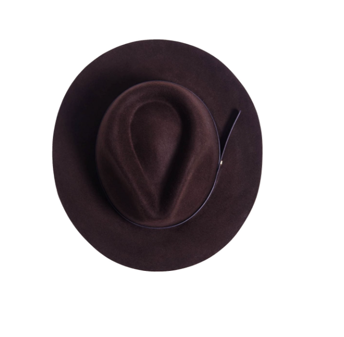 Griffin Fedora – Brown [Fast shipping and box packing]