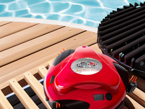grill brush