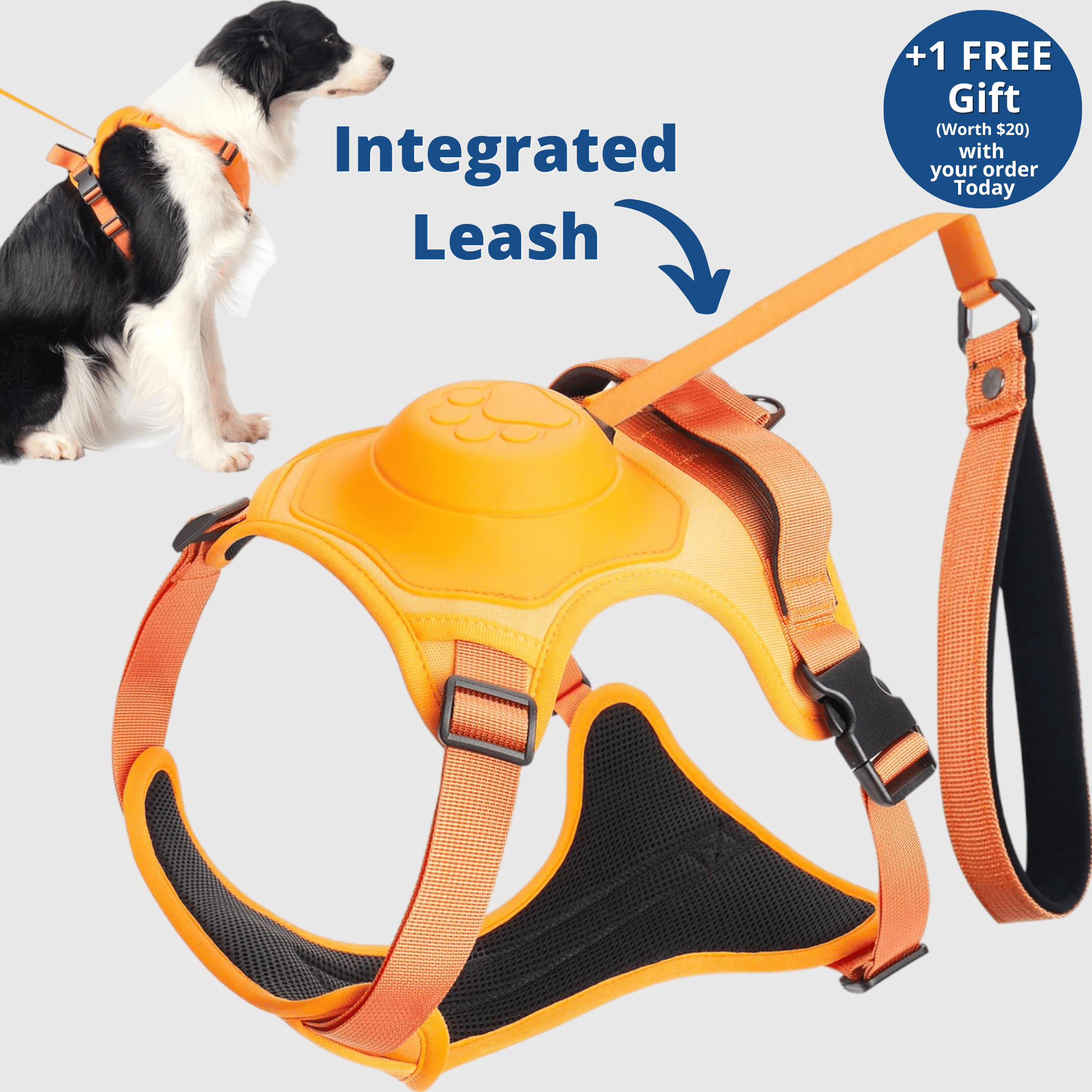 🔥Last Day 49% OFF🔥—3 in 1 Dog Harness with Built-In Leash