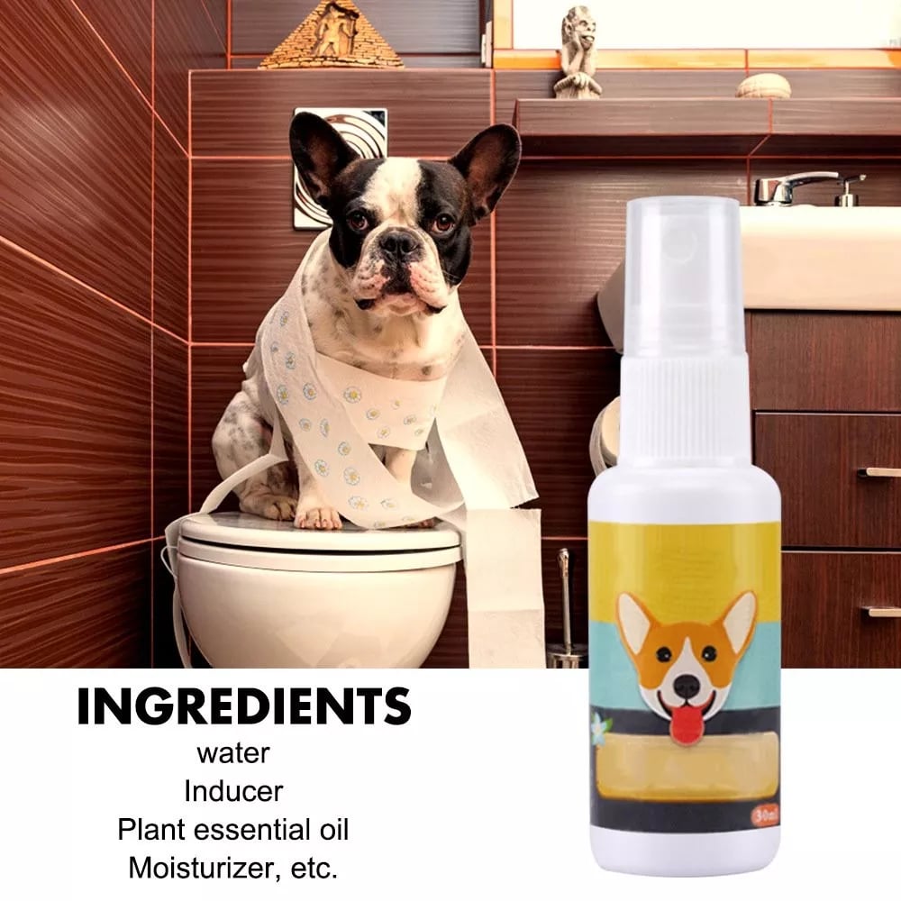 ⏰Blowout Sale-Pet Potty Here Training Spray(⭐patented product)