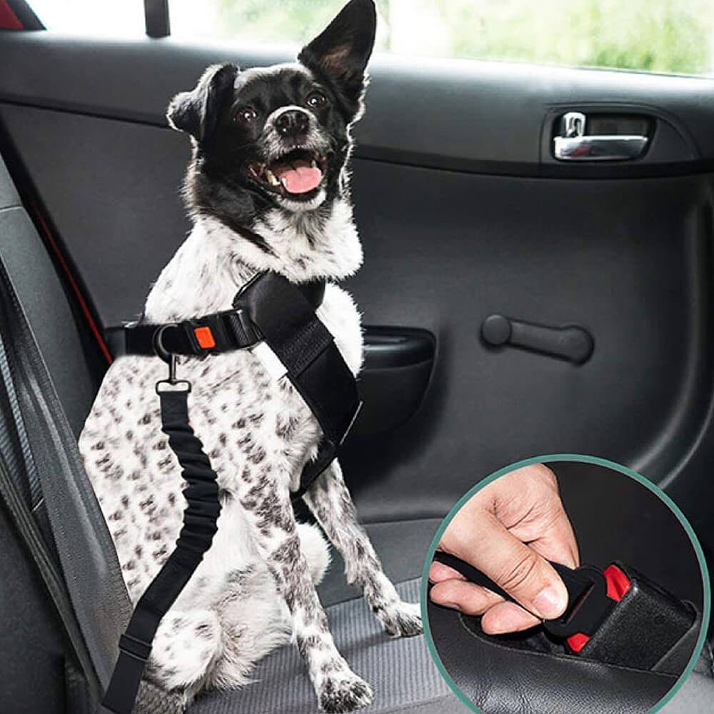 🔥Summer Sale 50% OFF-Buffer Adjustable Dog Car Seat Belt
