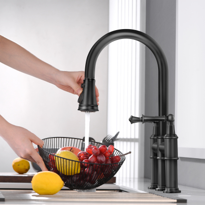 CF-15082 Black Pull Down Kitchen Faucet-Arrisea