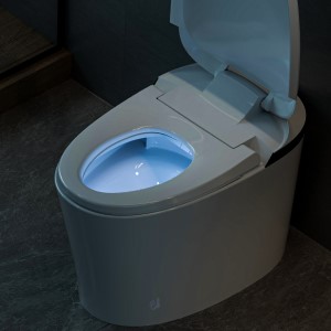 night light toilet