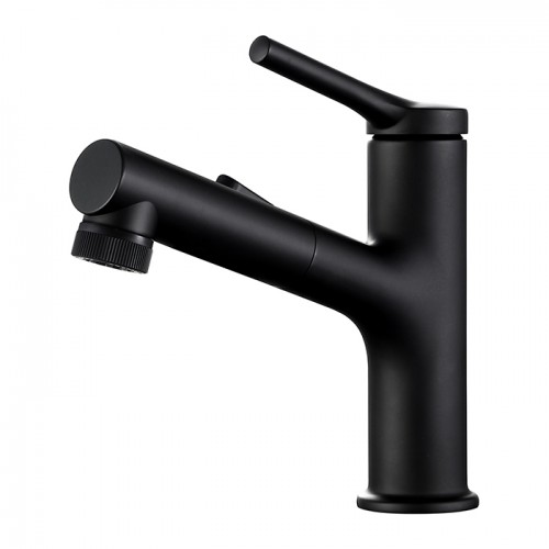 MP-41001 Pull Out The Basin Faucet-Arrisea