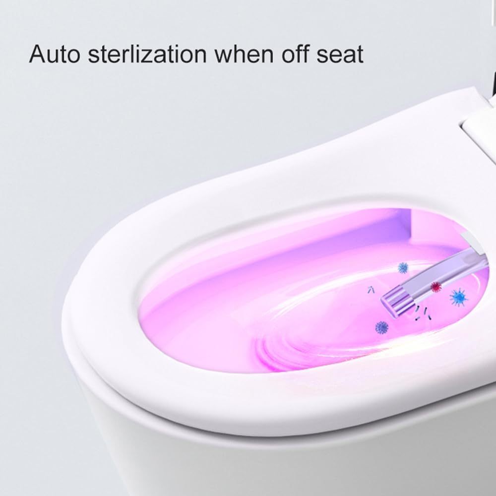 Smart Toilet with Bidet Built in,G7A09S-Arrisea