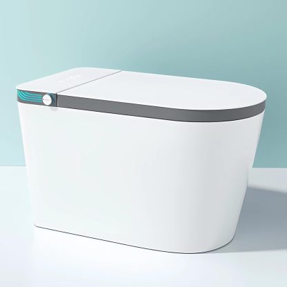 Smart Bidet Toilet With Heated Seat IU874-Arrisea
