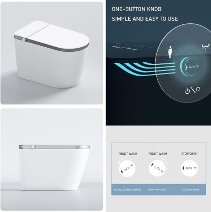 Smart Bidet Toilet With Heated Seat IU874-Arrisea