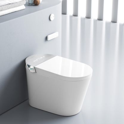 Smart Toilet with Bidet Built in,G7A09S-Arrisea