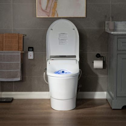 Smart Bidet Toilet T-0737-Arrisea