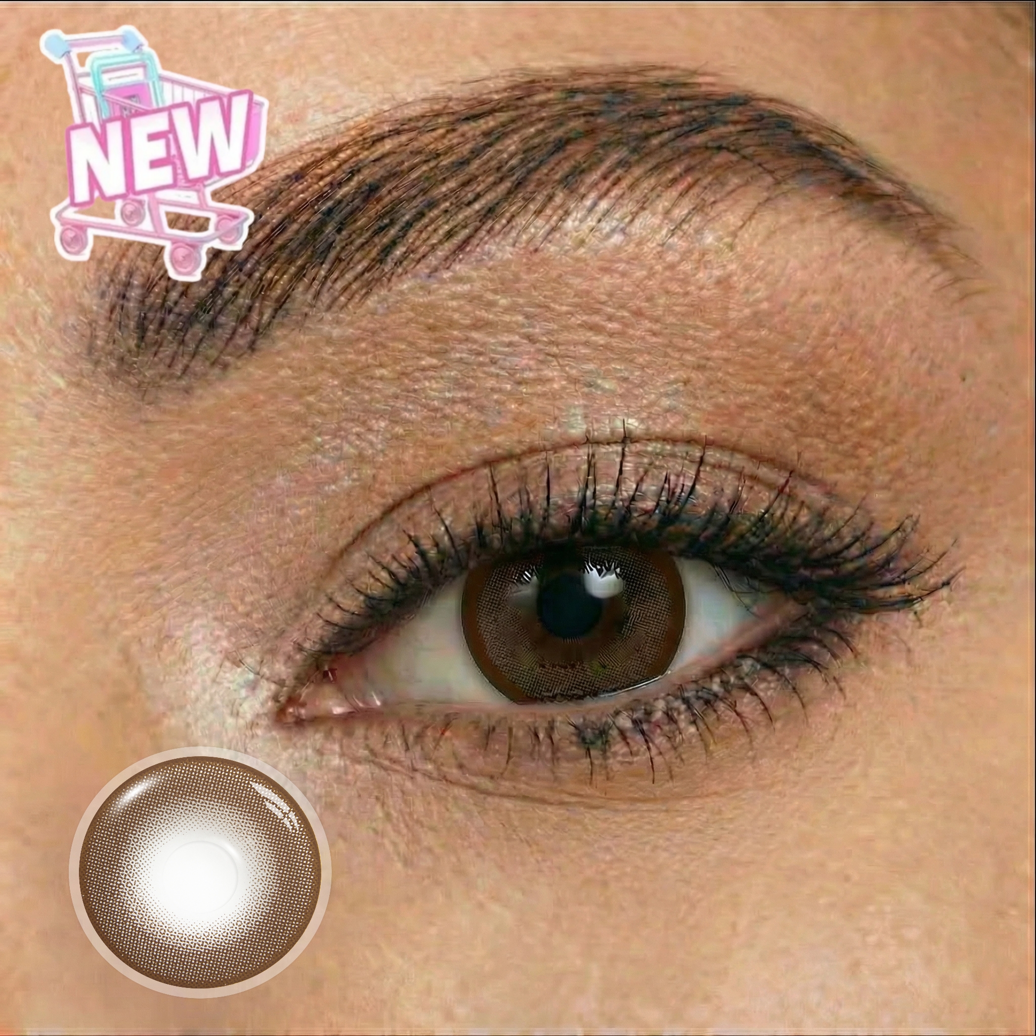 Mochi Brownie | Enlarge | Doll | 1 Year