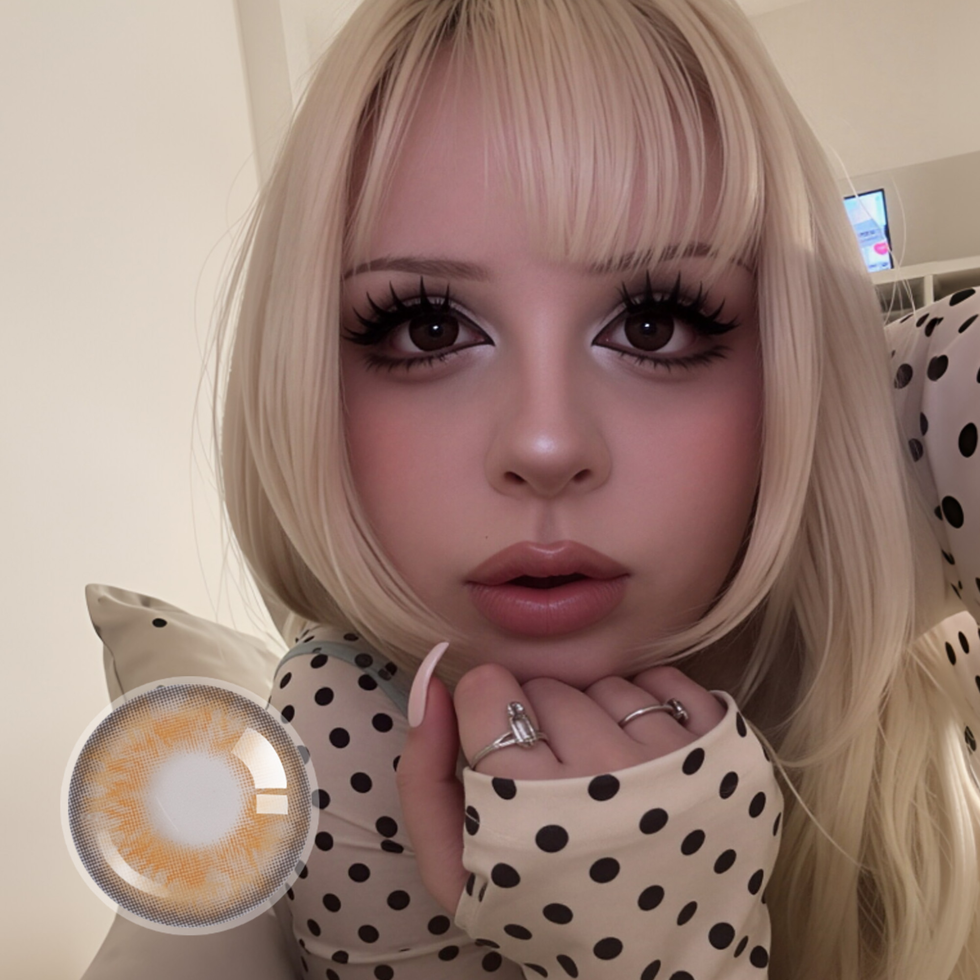 rozenbl4de X Mochi Brownie | Enlarge | Doll | 1 Year