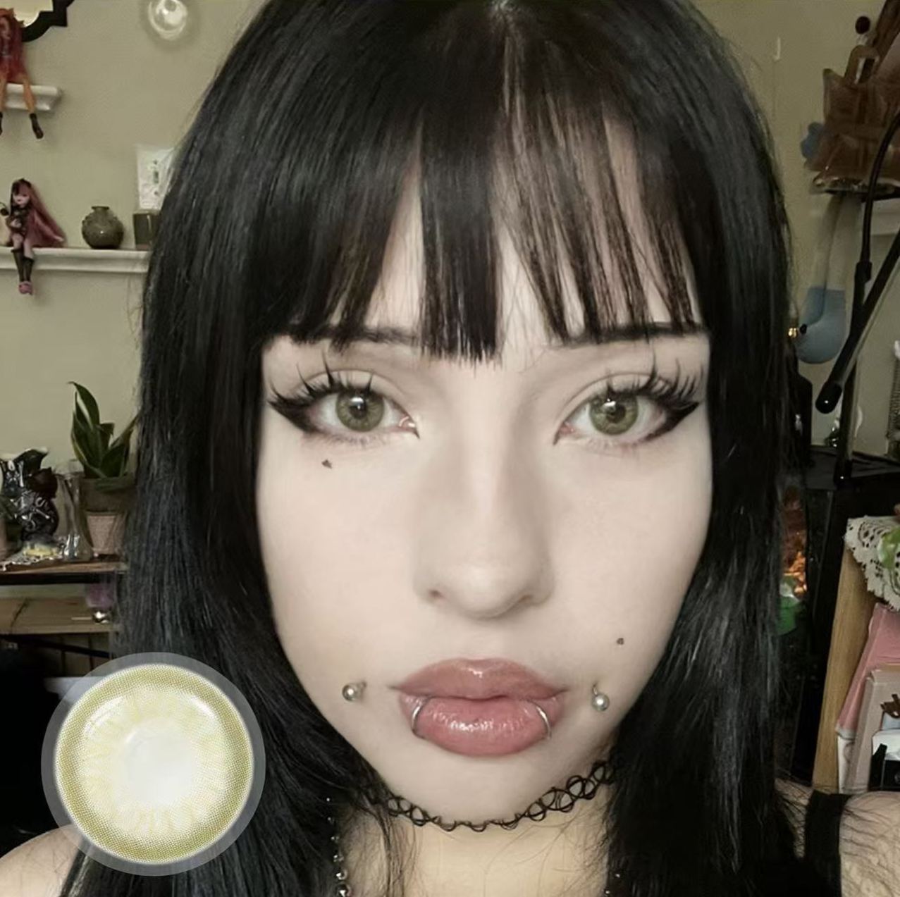 Poopie's Sage Kiss | 1 Year