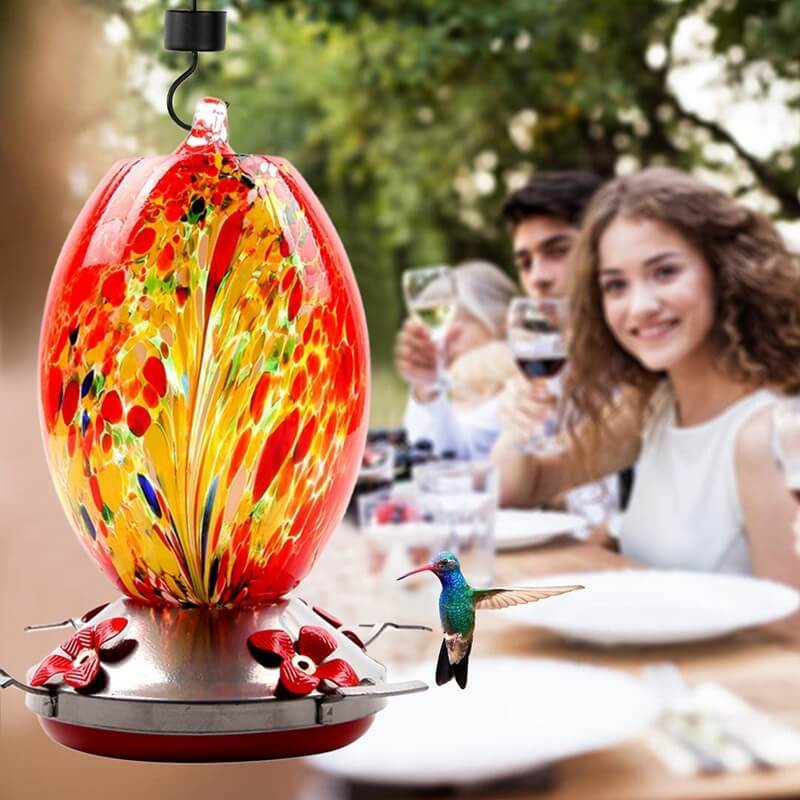 Carllo Hummingbird Feeder