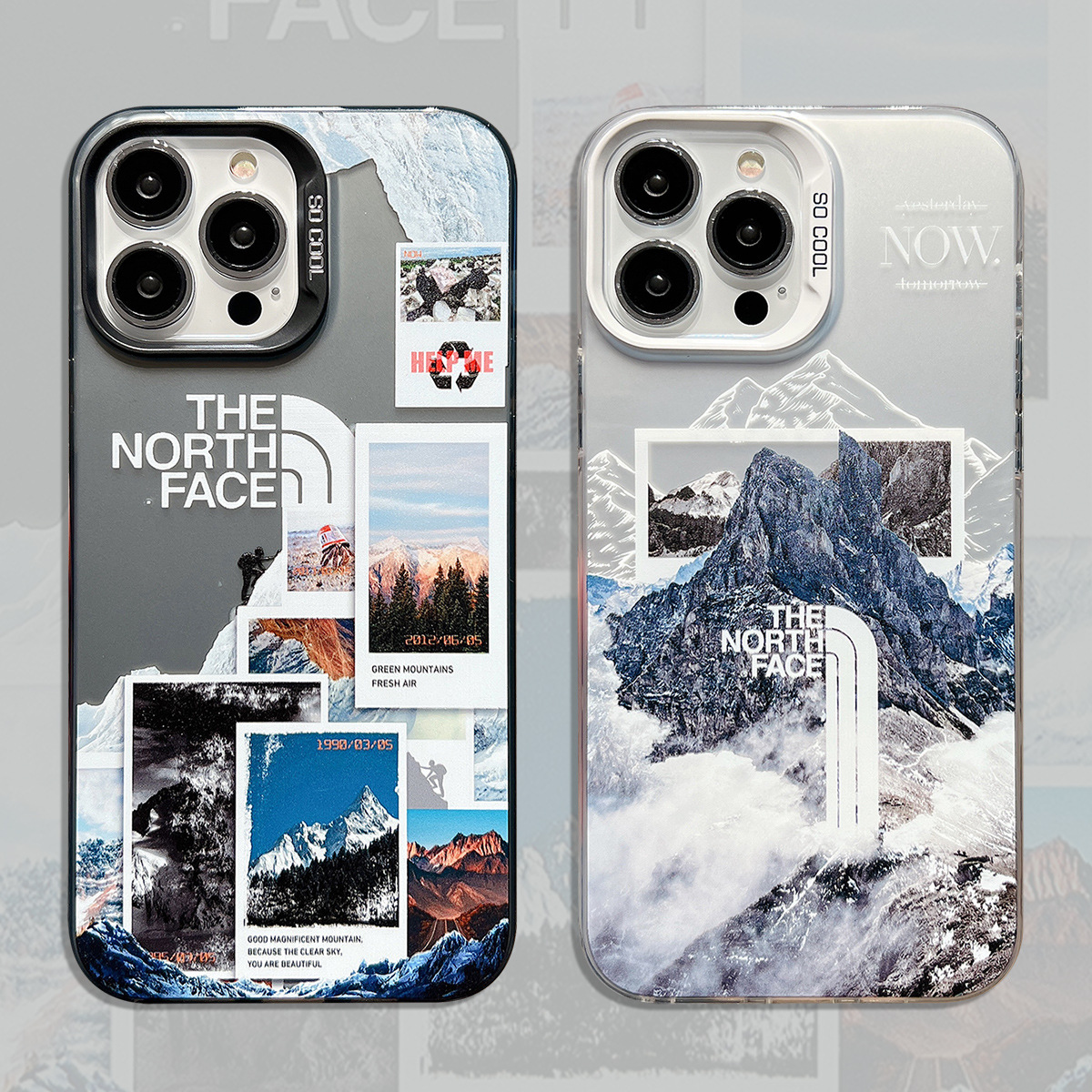 The North Face iPhone Case