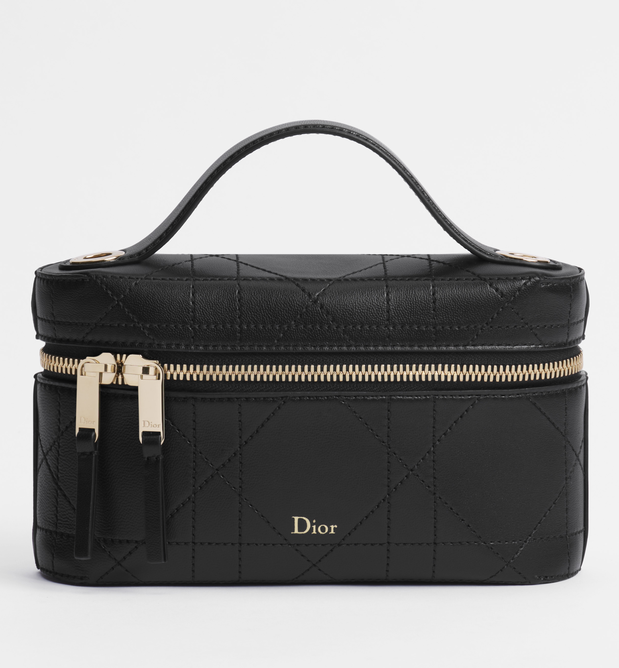 Dior Trianon Soft Vanity Mini Bag