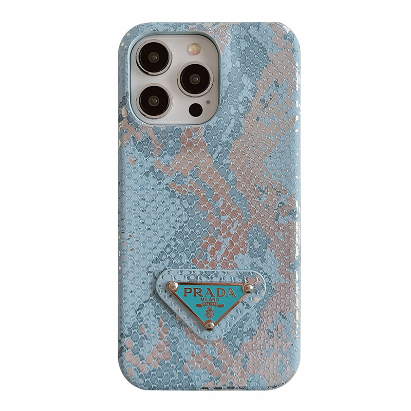 Snakeskin Metal Triangle Label PR iPhone Case