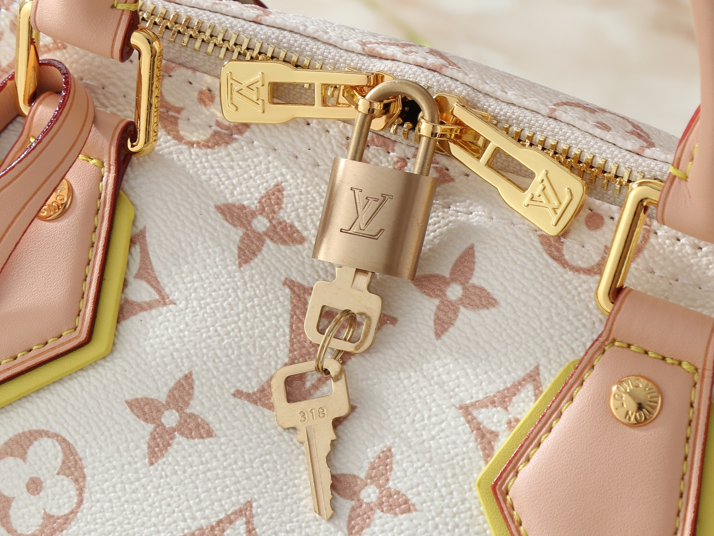Louis Vuitton Speedy 25 Leather Shoulder Bag