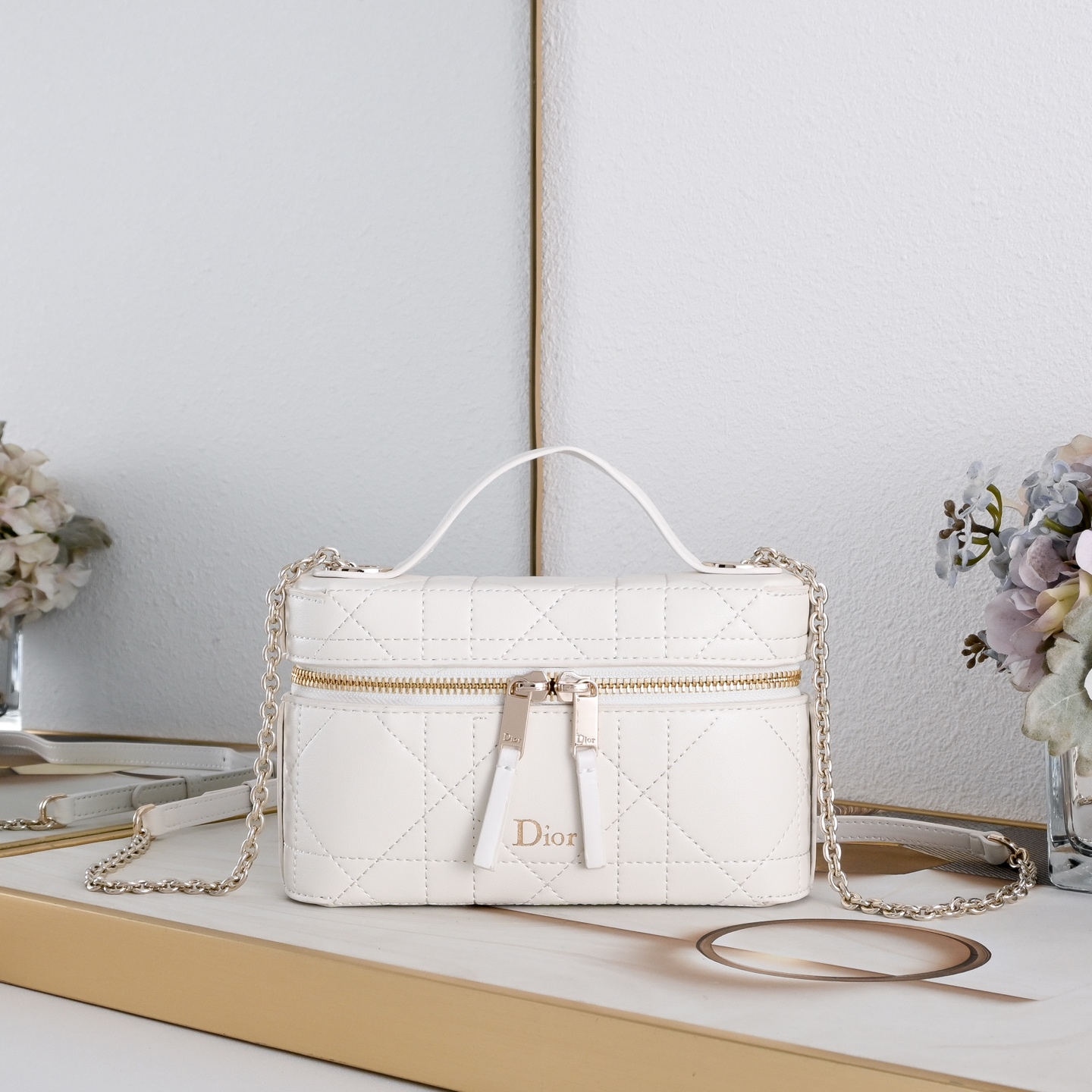 Dior Trianon Soft Vanity Mini Bag
