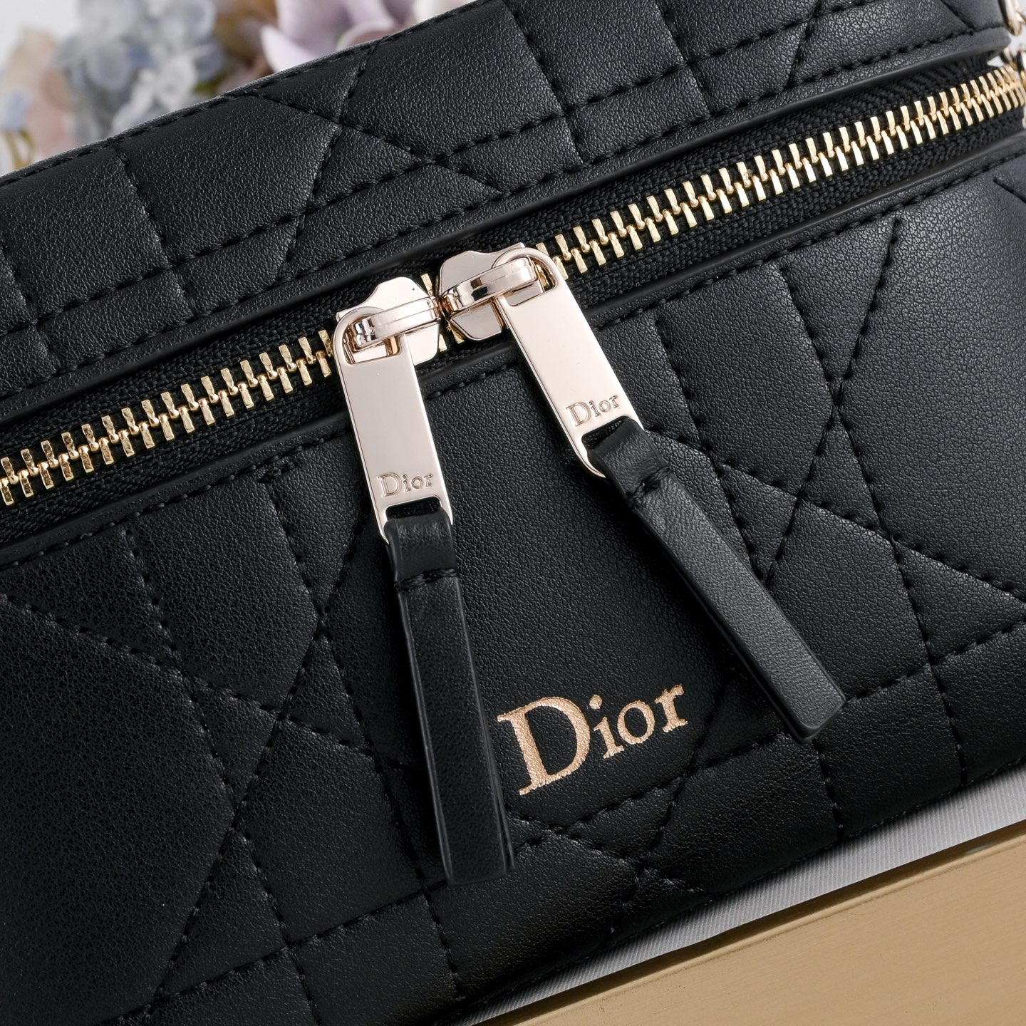 Dior Trianon Soft Mini Leather Vanity Bag