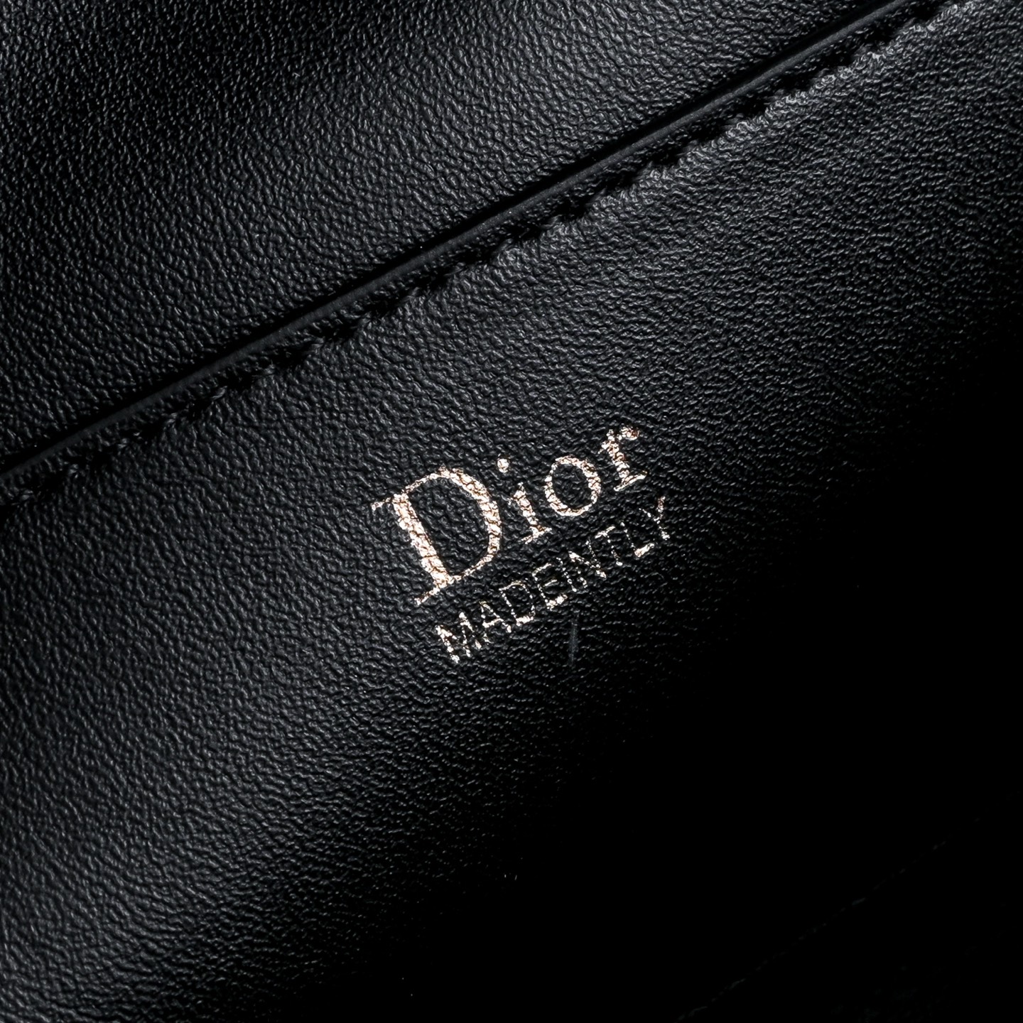 Dior Trianon Soft Mini Leather Vanity Bag
