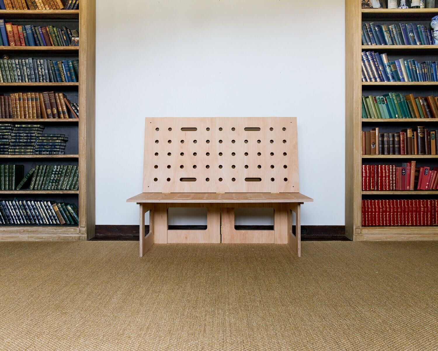 MultiPurpose Folding Bed