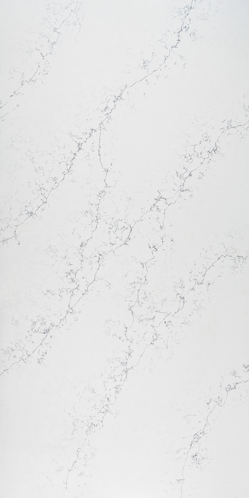 Exquisite Vein Serie