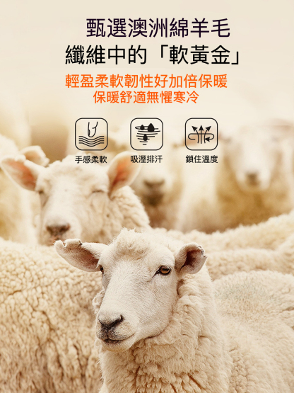 女士秋冬羊毛修身打底衫