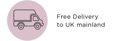 Delivery Icon