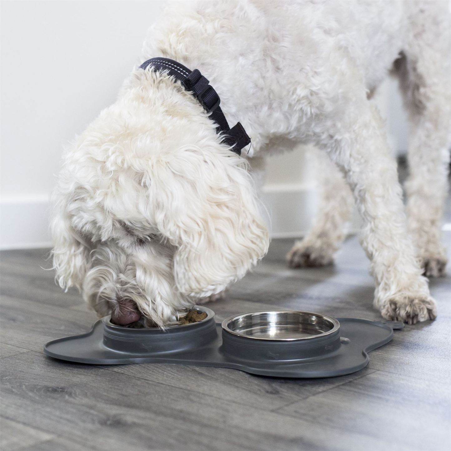 3 in 1 Slow Eating Animal Bowls with Non Slip Mat | Pukkr