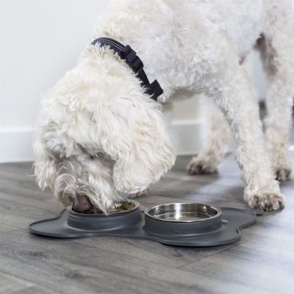 3 in 1 Slow Eating Animal Bowls with Non Slip Mat | Pukkr