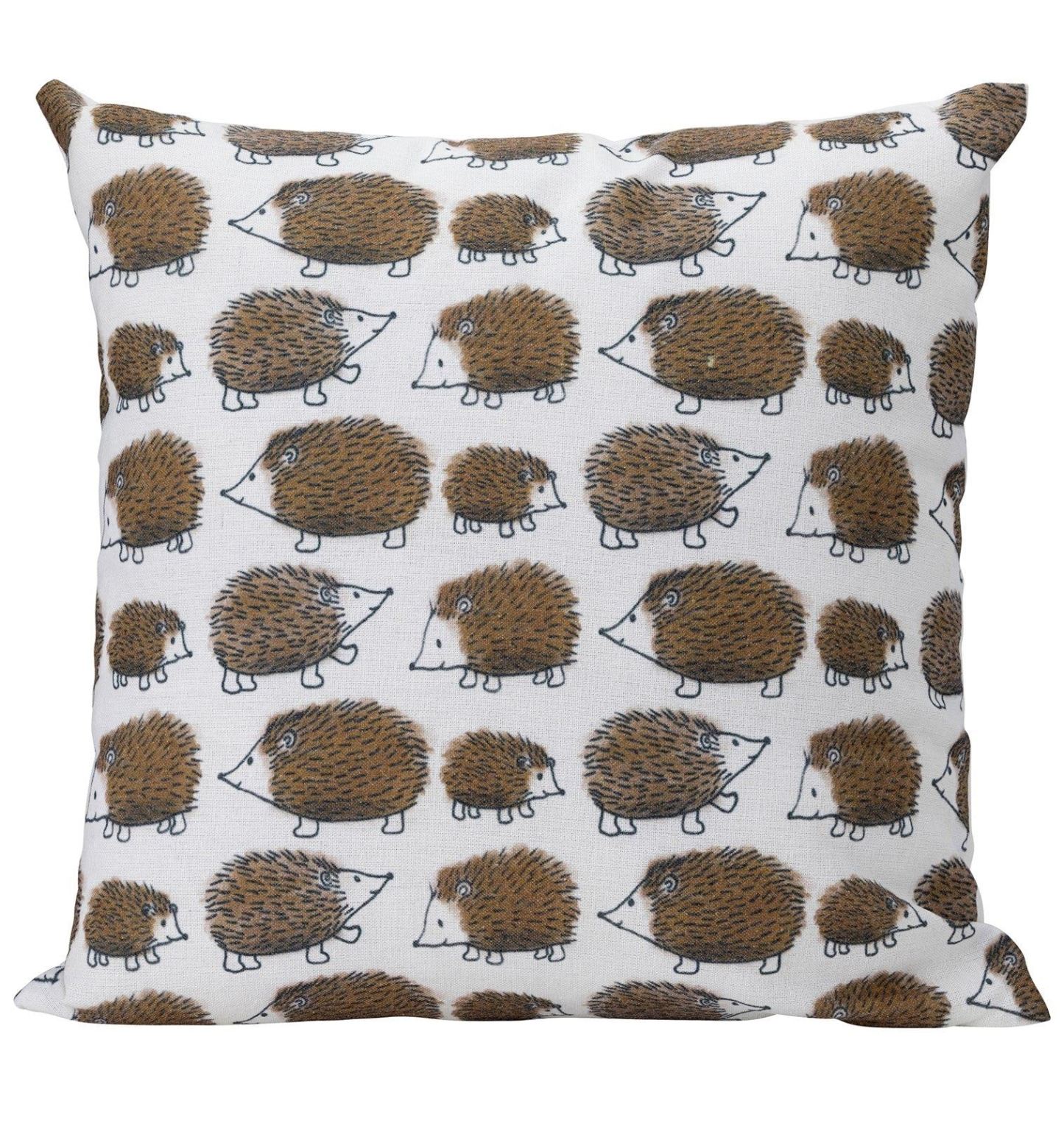 Edale Hedgehog Cushion