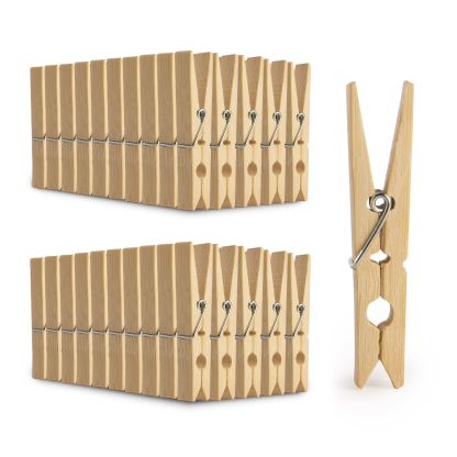 Bamboo Pegs - Pack of 100 | Pukkr