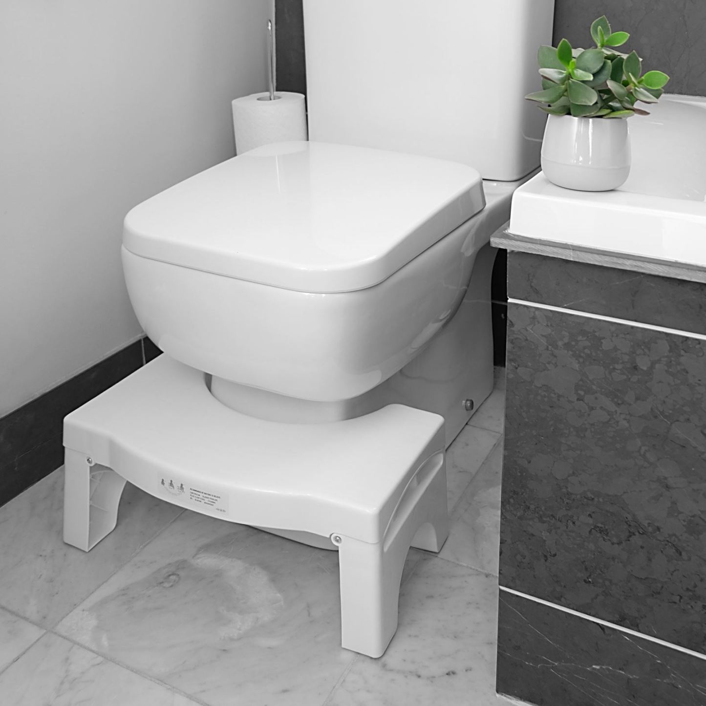 Squatting Folding Toilet Stool | Pukkr
