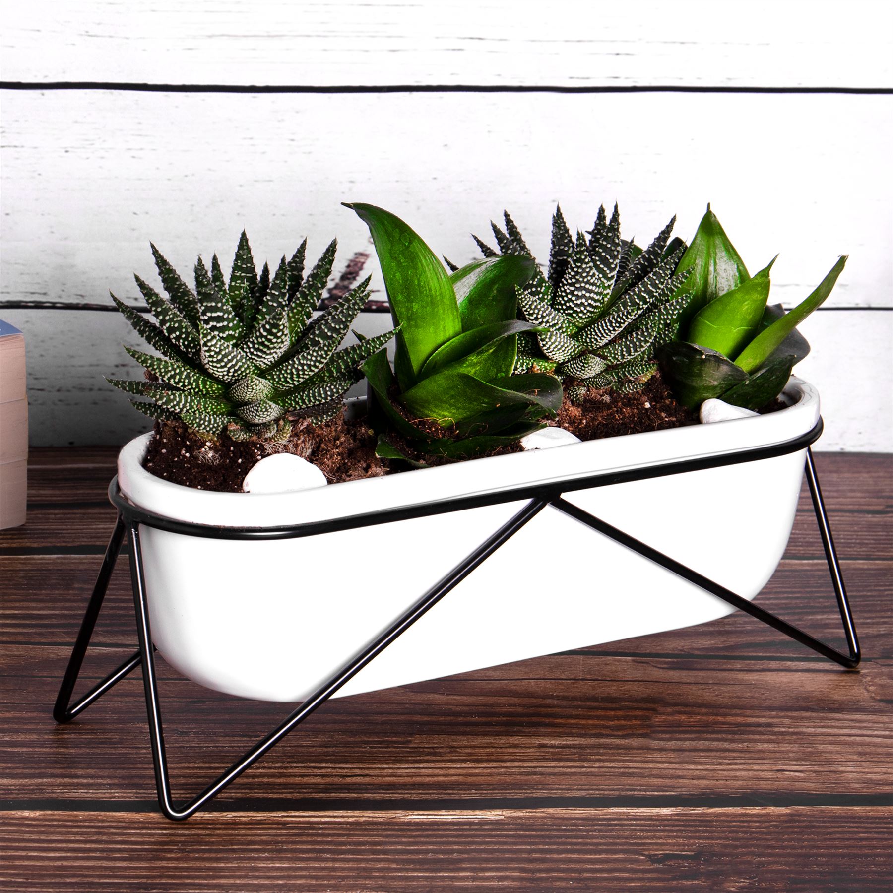 Desktop Planter Oval | M&W