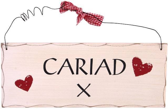 Cariad Welsh Hanging Sign