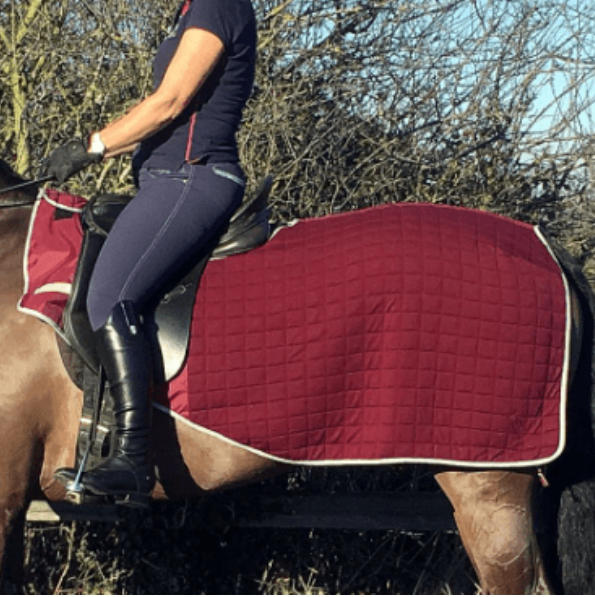 Quilted Trainer Rug