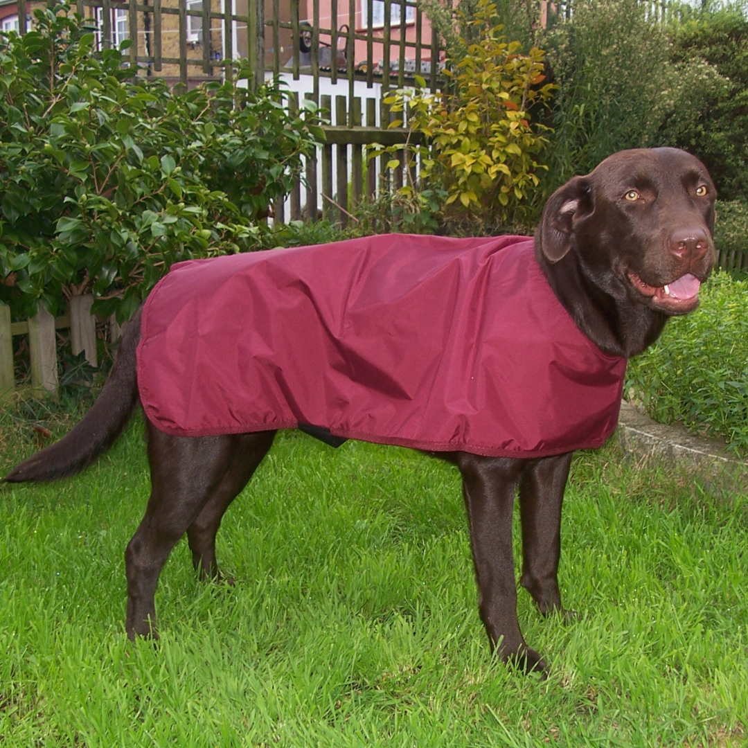 Waterproof Dog Overcoat