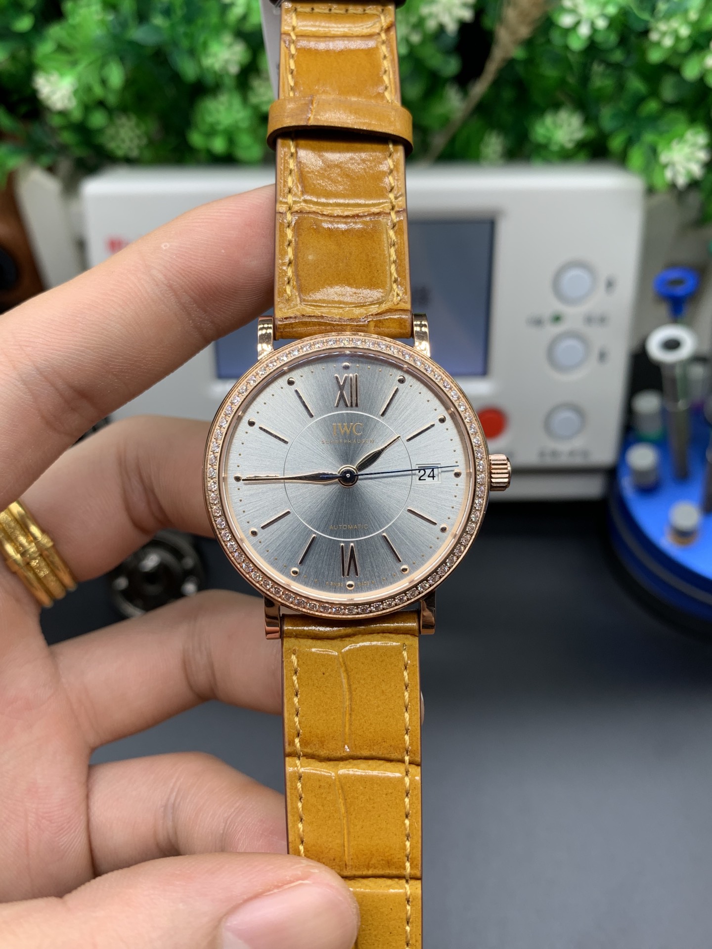 IWC