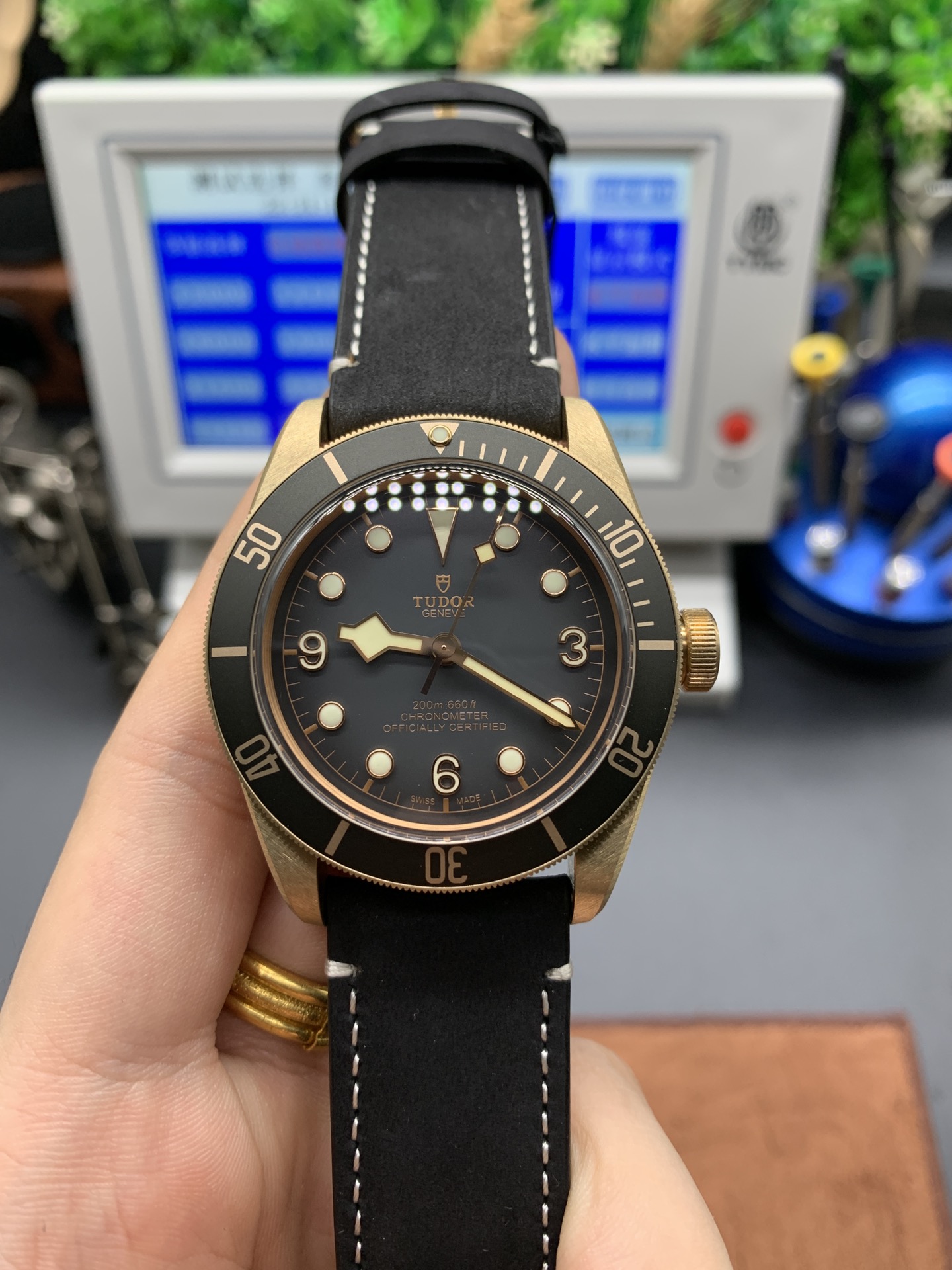 Tudor