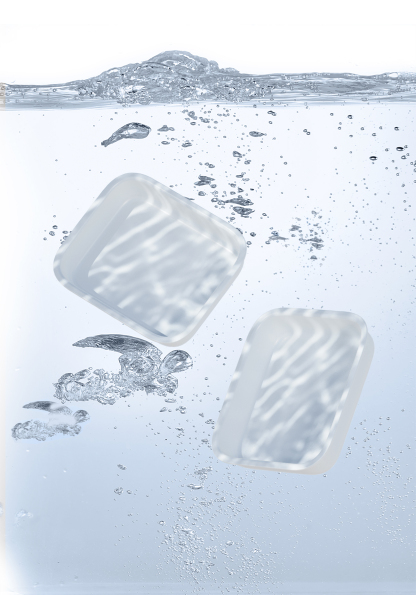 Pet Single Meal Feeder